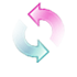 FLV to WMV converter